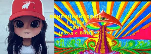 индика Семикаракорск