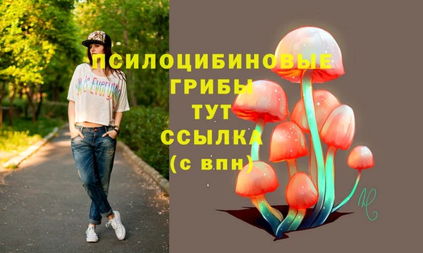 индика Семикаракорск