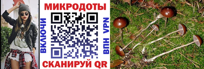ОМГ ОМГ tor  что такое наркотик  Солнечногорск  Псилоцибиновые грибы ЛСД 