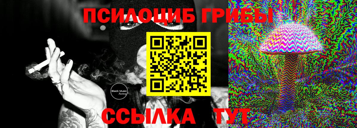 Галлюциногенные грибы мухоморы  Галлюциногенные грибы Cubensis  Вход с VPN  Солнечногорск 