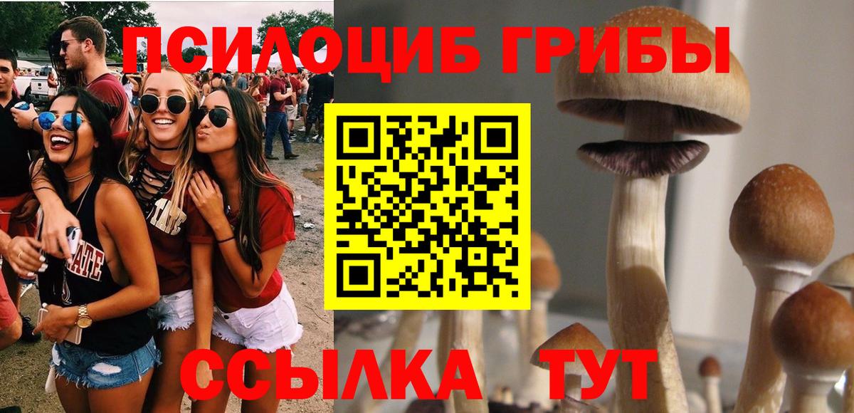 Галлюциногенные грибы Psilocybine cubensis Солнечногорск