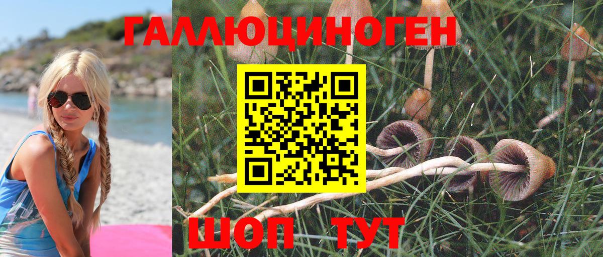 Галлюциногенные грибы Cubensis Солнечногорск